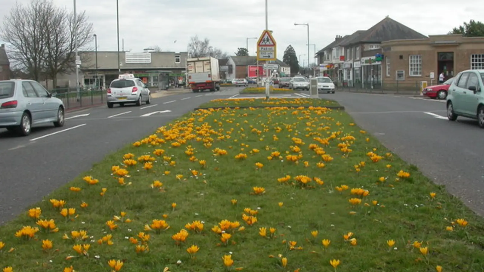 Bearwood & Bear Cross, Dorset