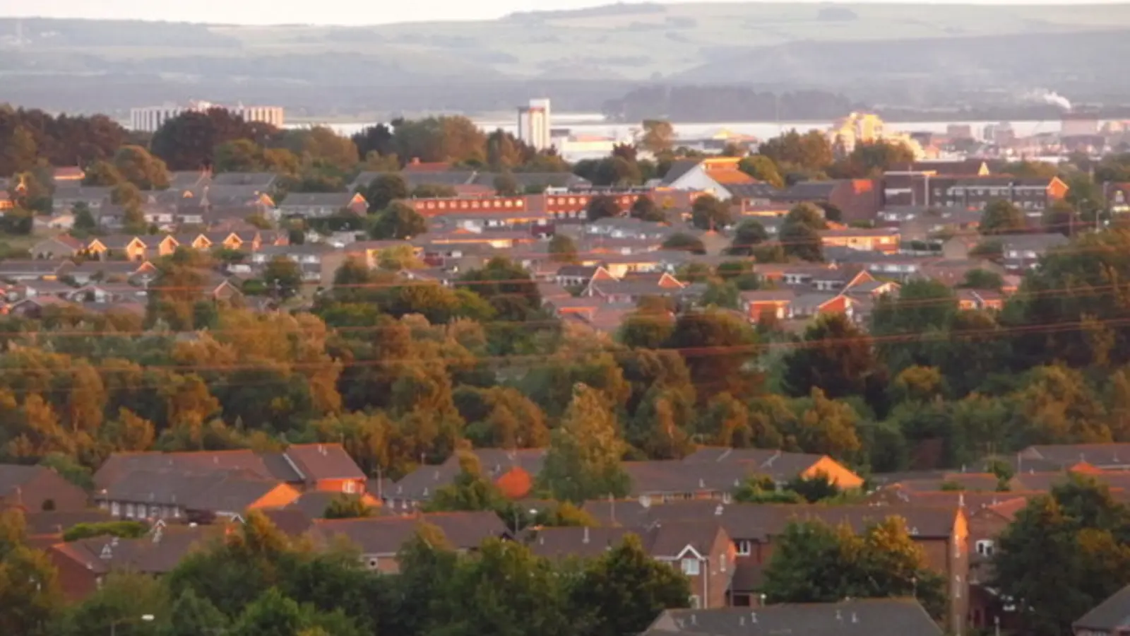 Canford Heath, Dorset