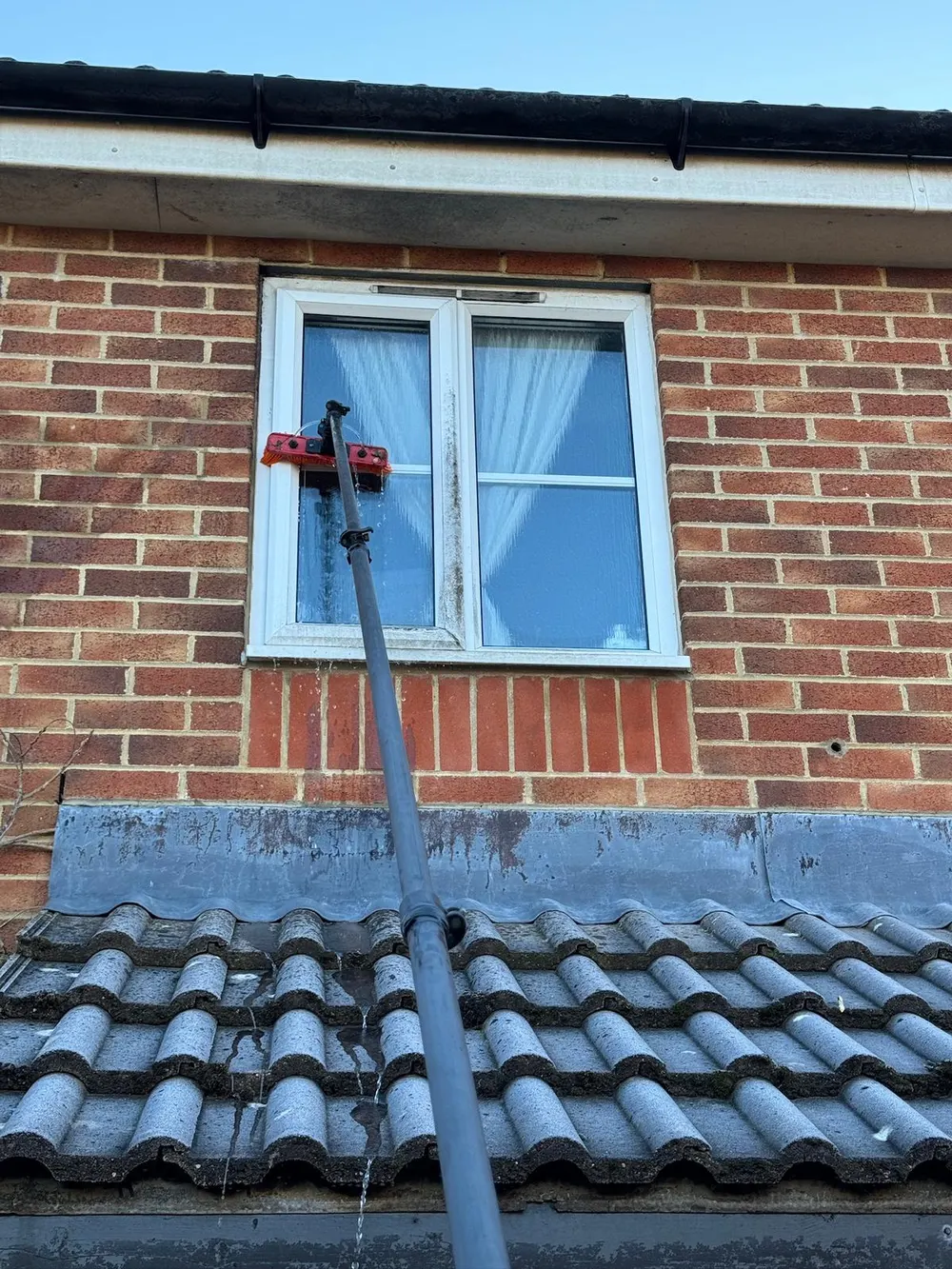 Pure-water pole cleaning an upstairs window from the ground in Dorset, leaving spotless glass